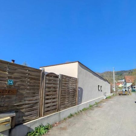 Ikigai Aparthotel Muhlbach-sur-Munster Екстериор снимка